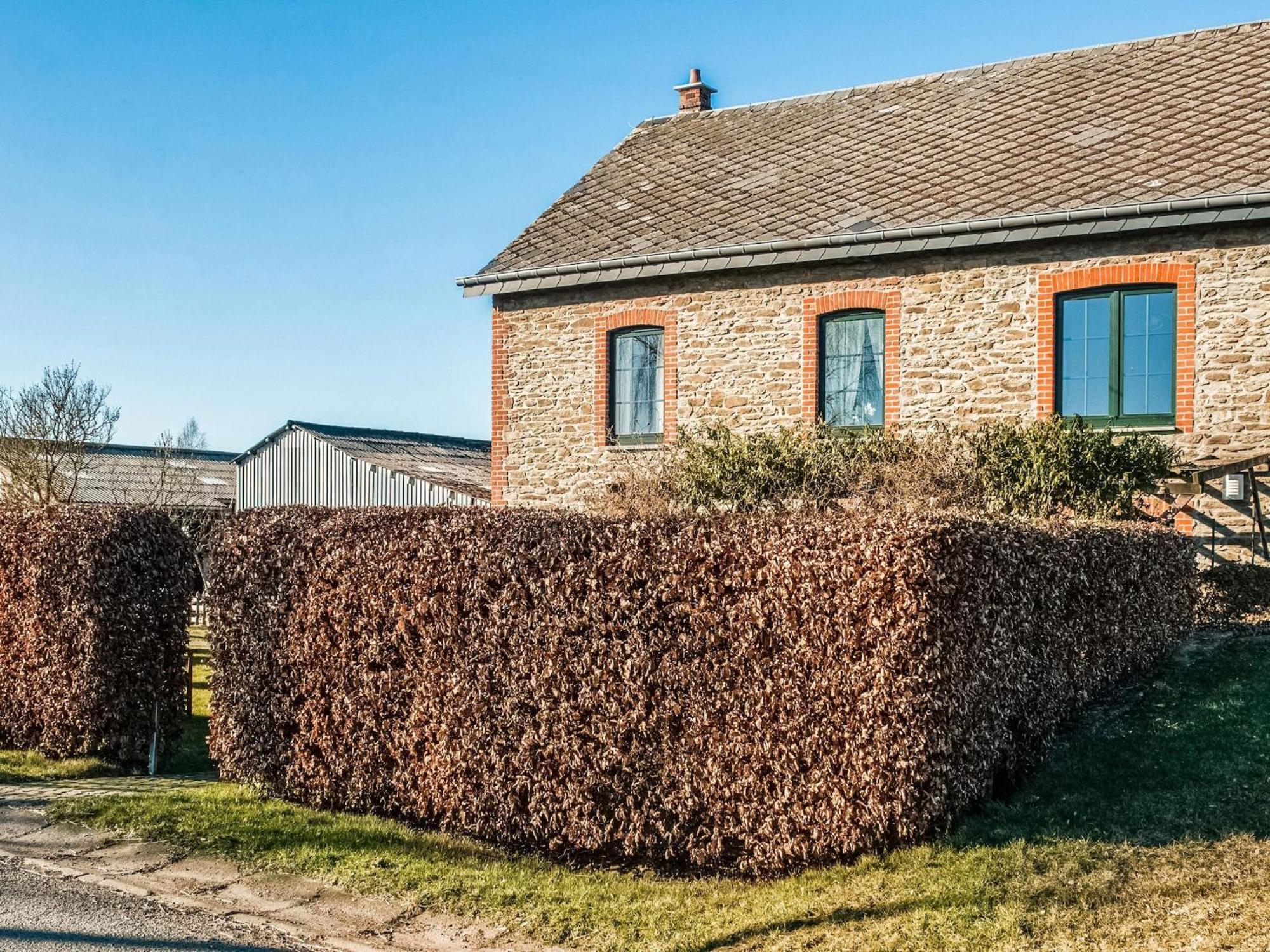 Pretty Farmhouse In Houffalize With Courtyard Exteriör bild